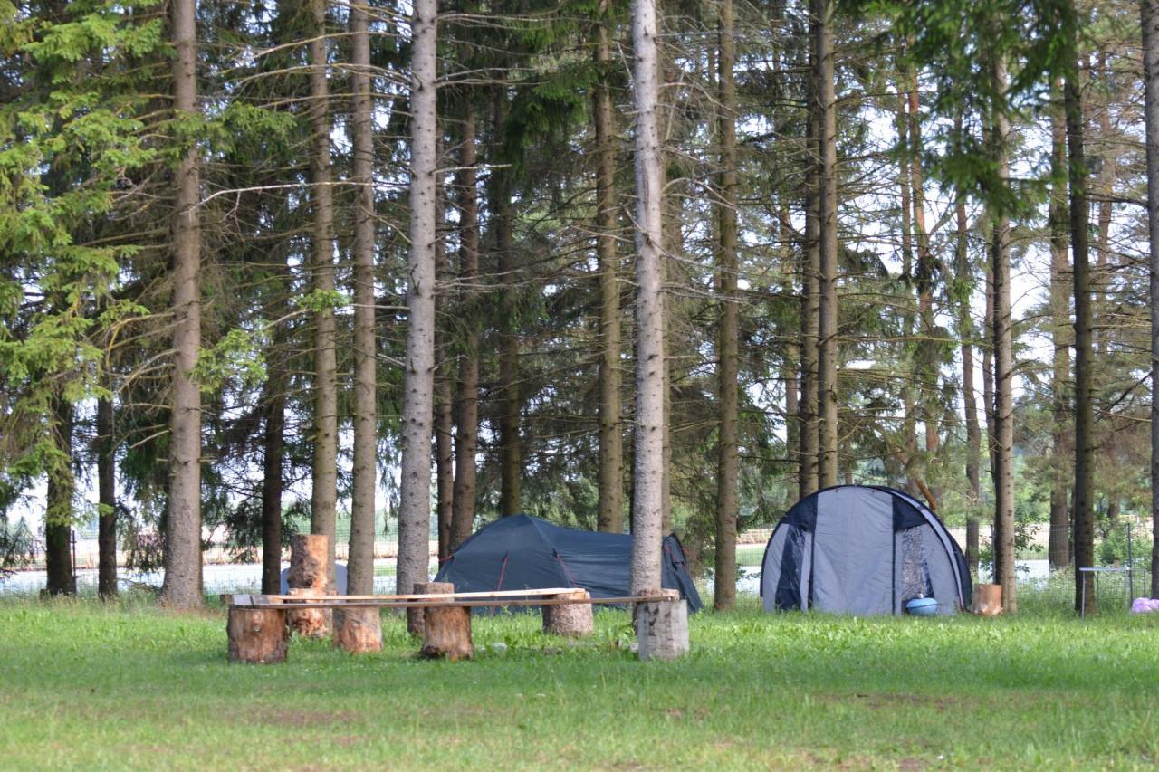 فندق Birzai Camping المظهر الخارجي الصورة